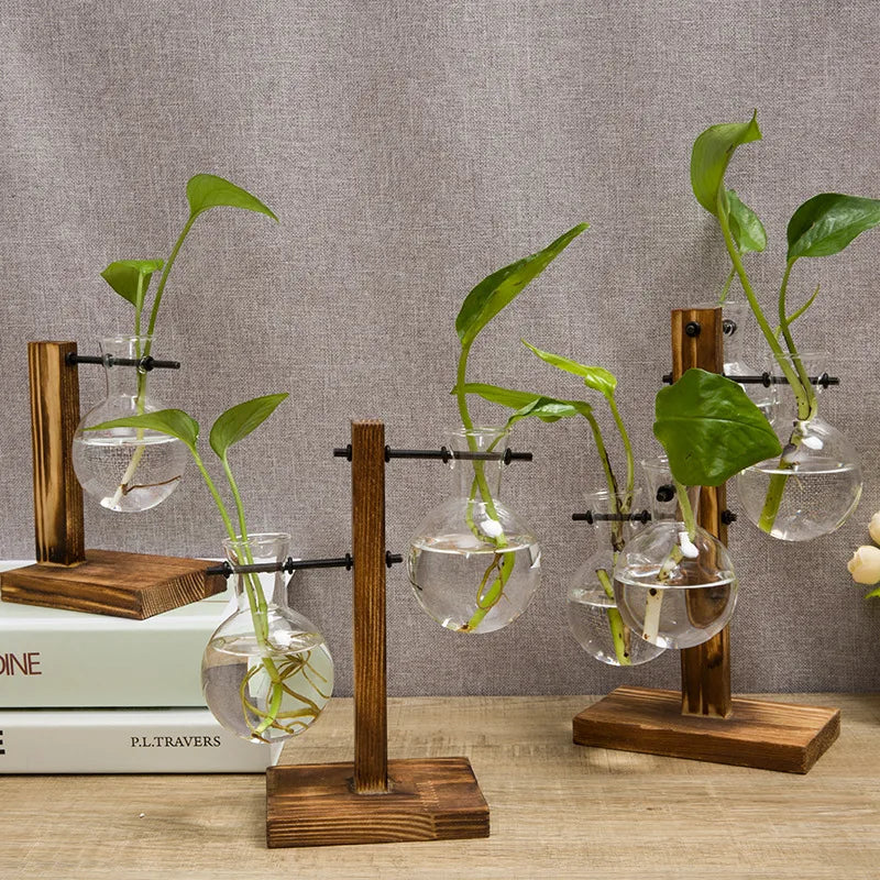Vasoya Glass Vases | 3-Piece Set with Wooden Frame | Scandinavian & Versatile | For Flowers & Hydroponics