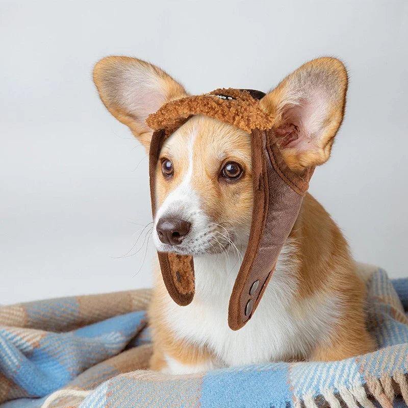 Winter pilot cap for pets warm and comfortable