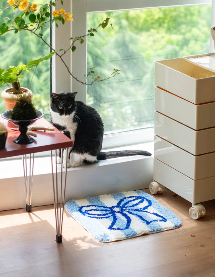 Ribbon Seat Cushion