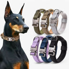 Durable & Adjustable Collar for Training & Everyday Use