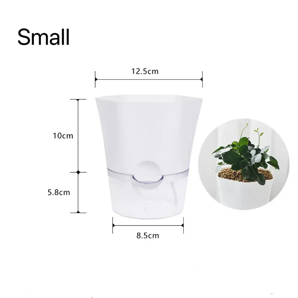 Plantilo Self-watering Flower Pot | Transparent | Automatic Water Supply | For Houseplants