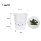 Plantilo Self-watering Flower Pot | Transparent | Automatic Water Supply | For Houseplants