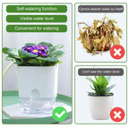 HydroLino Flower Pot | Self-Watering | Compact & Transparent | For Indoor Use