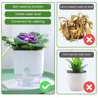 Plant Pot BloomEase | Self-Watering & Space-Saving | With Water Level Indicator | For Indoor Plants & Herbs