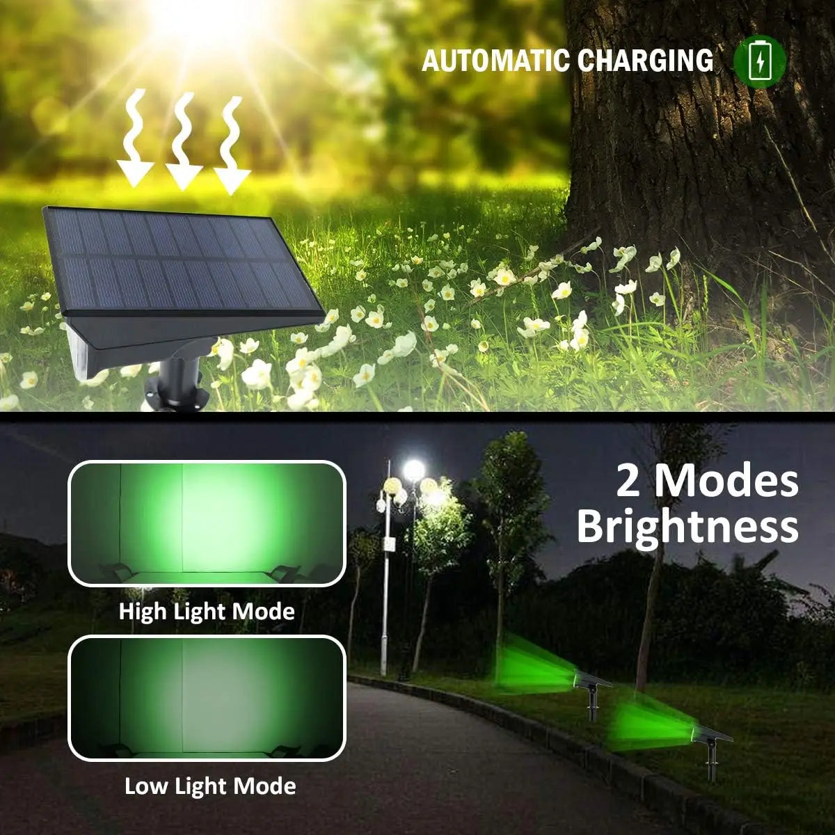 Solar Garden Spotlight LumiRay Set 4 | IP65 Waterproof | Automatic Twilight Sensor | LED Landscape Lighting