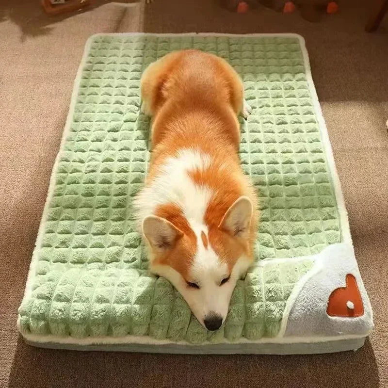 PAWSOMNIA Orthopedic Dog Bed | Removable Cover & Washable | Memory Foam | For Dogs & Cats