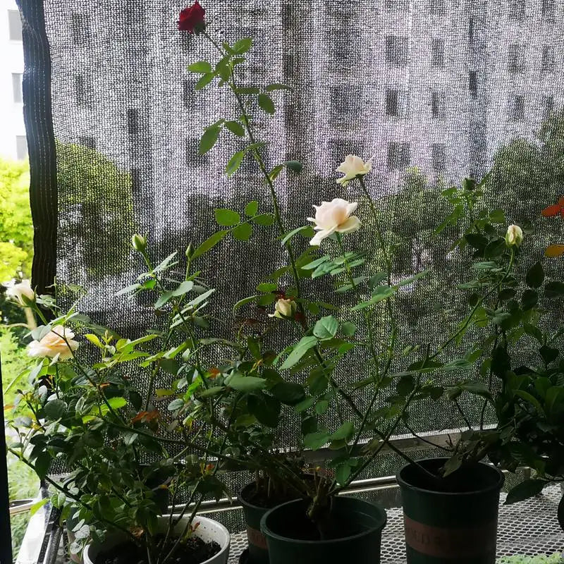 SHADYNET Pro | Shade net 70–80 % | UV protection & privacy protection | For garden & greenhouse