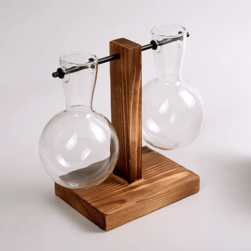 Vasoya Glass Vases | 3-Piece Set with Wooden Frame | Scandinavian & Versatile | For Flowers & Hydroponics