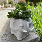 Adorable Cartoon-Styled Mini Plant Pot for Decorative Display