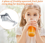 Fruit Juice Squeezer
