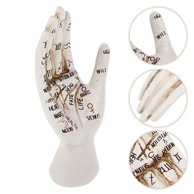 Zodiac Symbols Mystic Palmistry Hand Sculpture