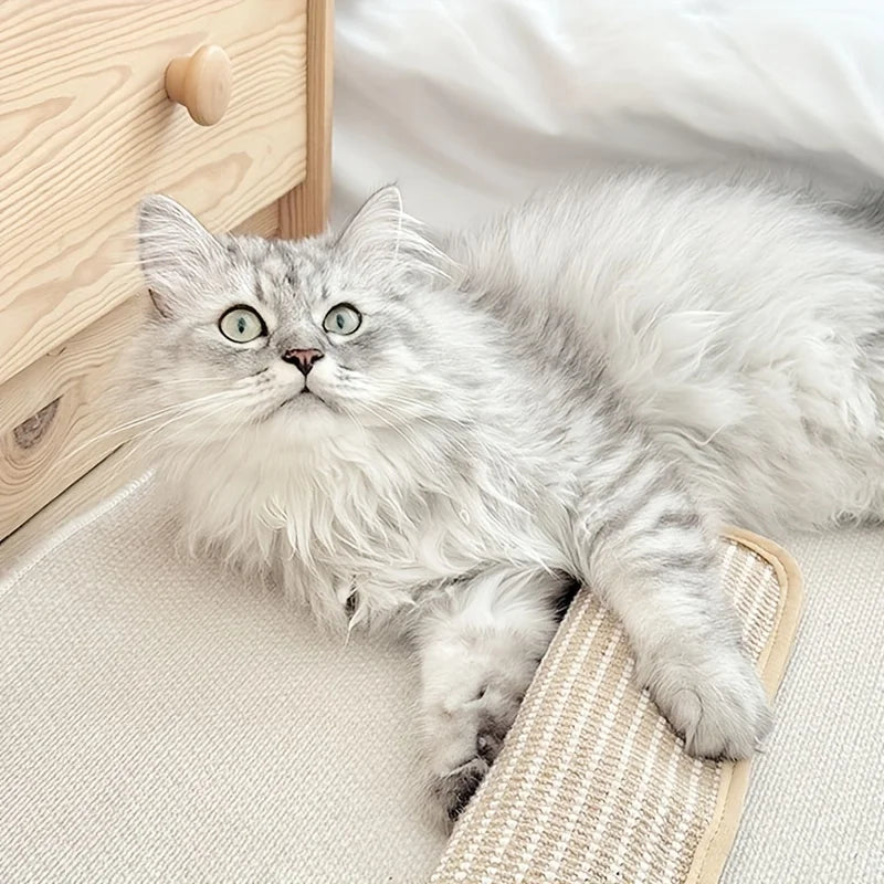 Scratching pillow for cats with catnip durable and sturdy