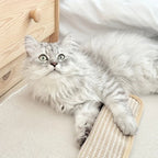 Scratching pillow for cats with catnip durable and sturdy