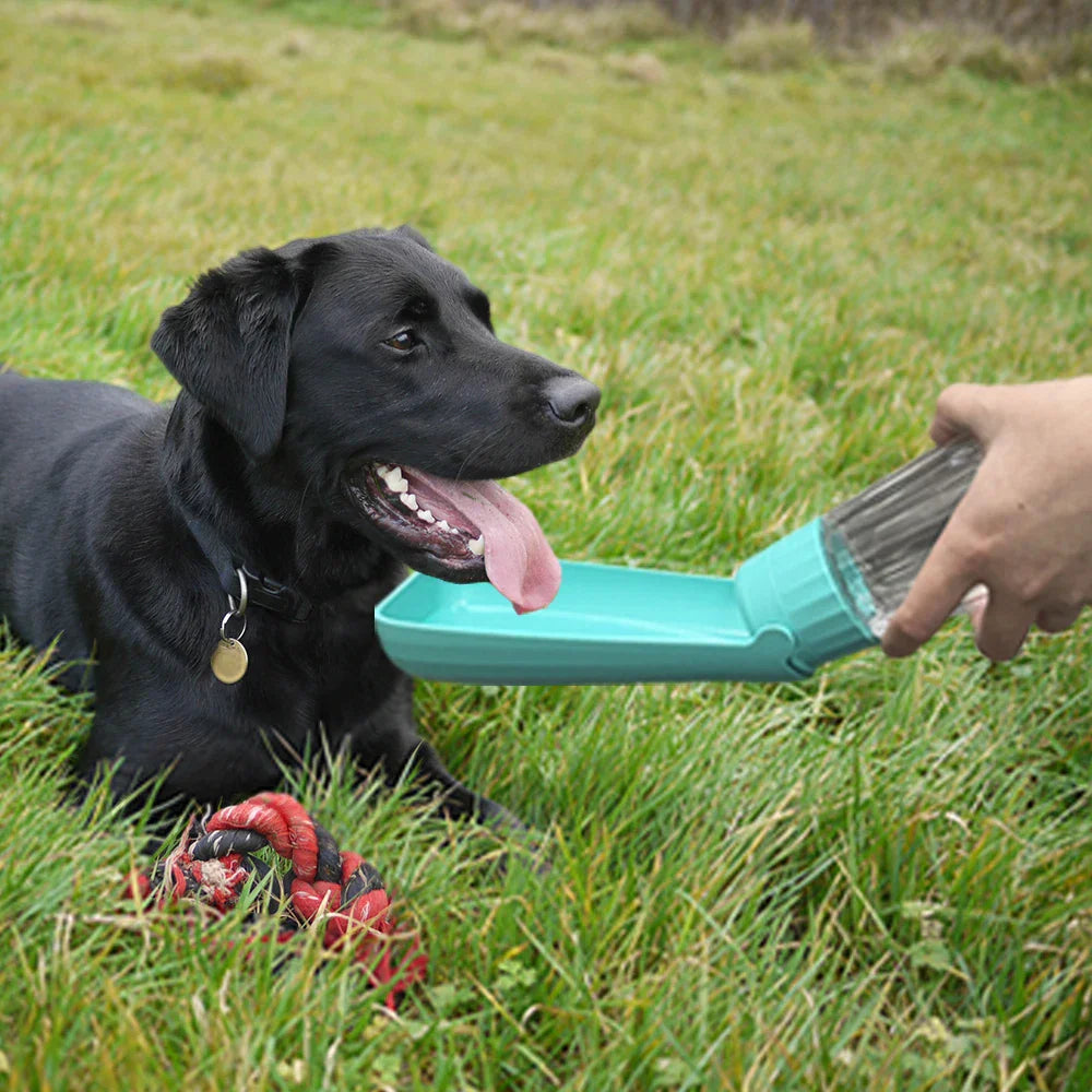 Dog Water Bottle Lapuro FoldDrink | Collapsible water dispenser for on the go | 550 ml | For small & large dogs and cats