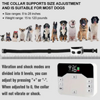 Wireless Pet Training System: Waterproof & Rechargeable