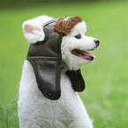Winter pilot cap for pets warm and comfortable