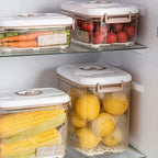 Food Vacuum Storage Box Transparent Container with Hand Pump – FreshLock
