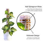 Pillar for climbing plants and green plants – Support columns for vertical plant cultivation