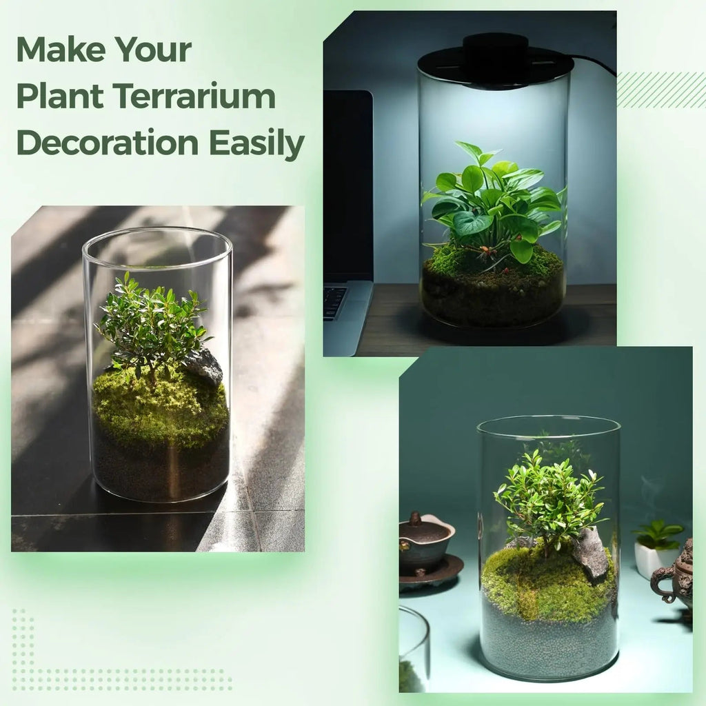 Mini Forest Maker Terrarium Decor Vase