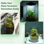 Mini Forest Maker Terrarium Decor Vase