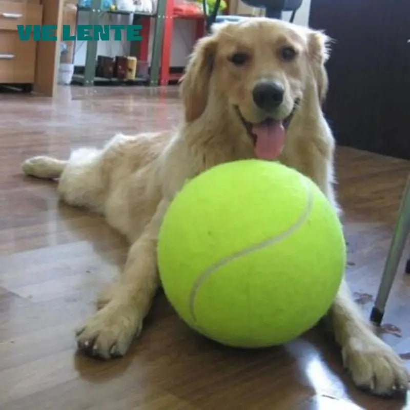 Extra large tennis ball for dogs