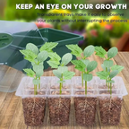 12-Cell Plastic Seedling Starter Tray for Succulent and Garden Seeds