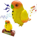 Interactive parrot that repeats everything