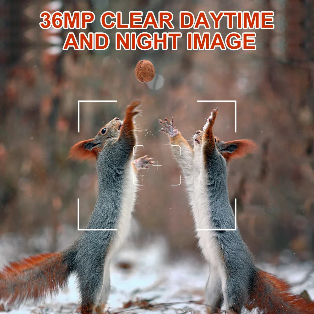 Hunting trail camera 36MP 1080P with night vision