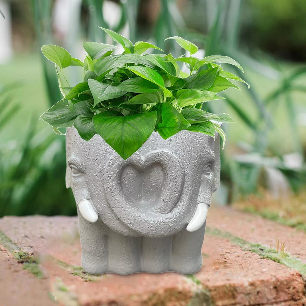 Adorable Cartoon-Styled Mini Plant Pot for Decorative Display