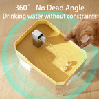 Automatic Cat Water Fountain with USB Pump and Multi-Stage Filtration