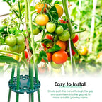 Plant support ring for bamboo poles – Stable climbing aid for tomatoes and climbing plants