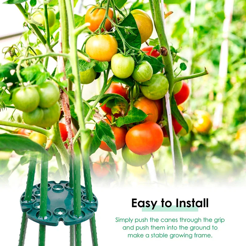 Plant support ring for bamboo poles – Stable climbing aid for tomatoes and climbing plants