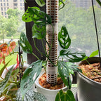 Pillar for climbing plants and green plants – Support columns for vertical plant cultivation