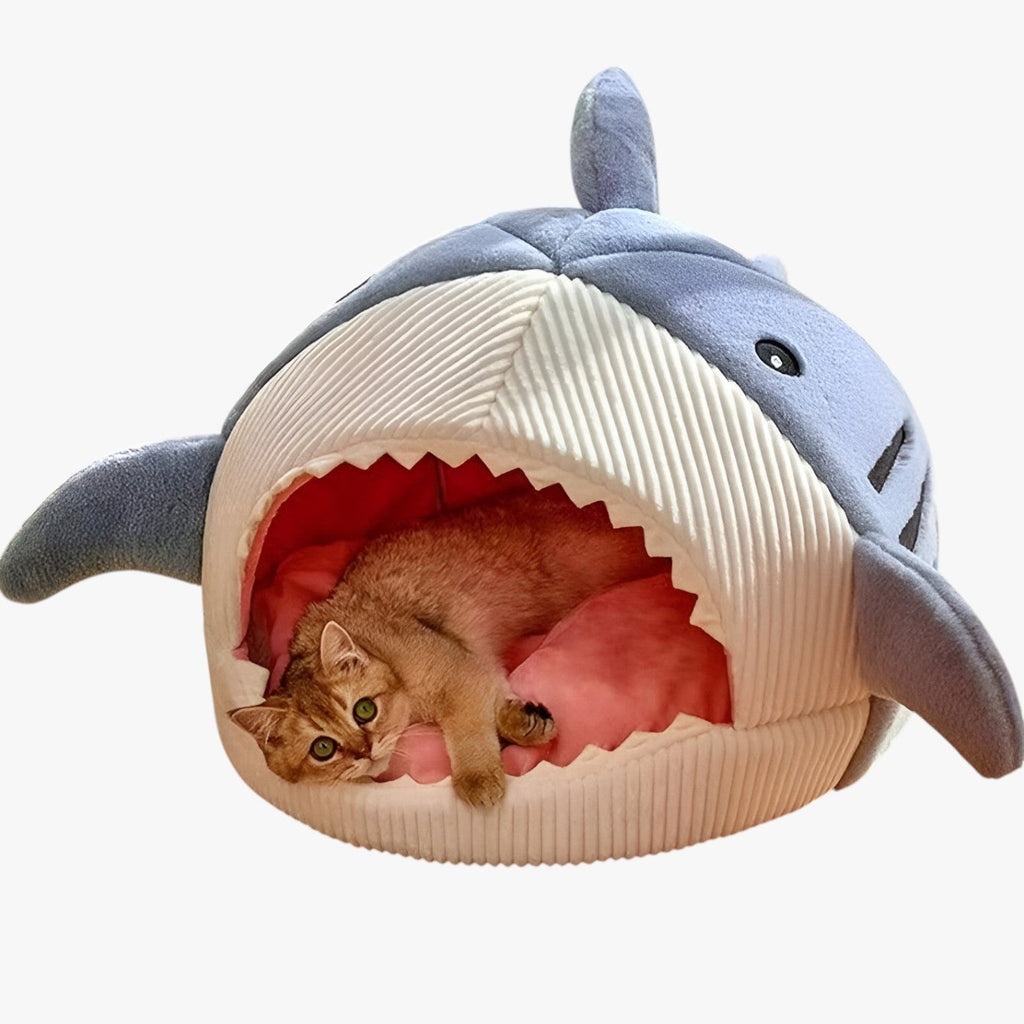 SoftBloom Shark Cat Bed – Cozy Hideaway for Indoor