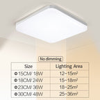 Natural Room Sleek LED Ceiling Light