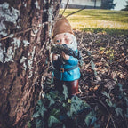Garden Gnome Army – Weather-Resistant Decorative Figures for the Garden