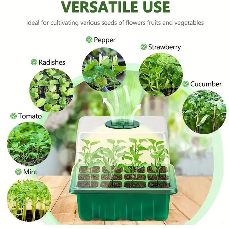 12-Cell Plastic Seedling Starter Tray for Succulent and Garden Seeds