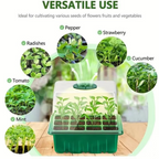 12-Cell Plastic Seedling Starter Tray for Succulent and Garden Seeds