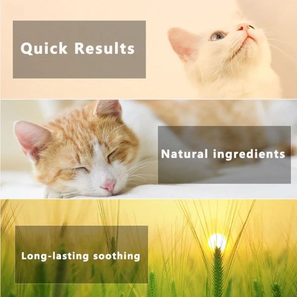 Flea & Tick Protection Collar for Dogs & Cats