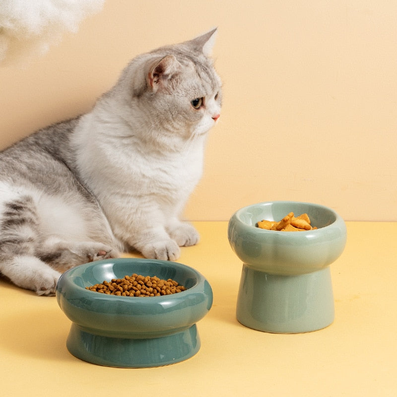 Luna Ceramic Elevated Cat Bowls