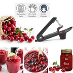 Stainless Steel Cherry and Olive Pitter Tool