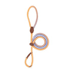Colorful Dog Leash for Stylish Walks