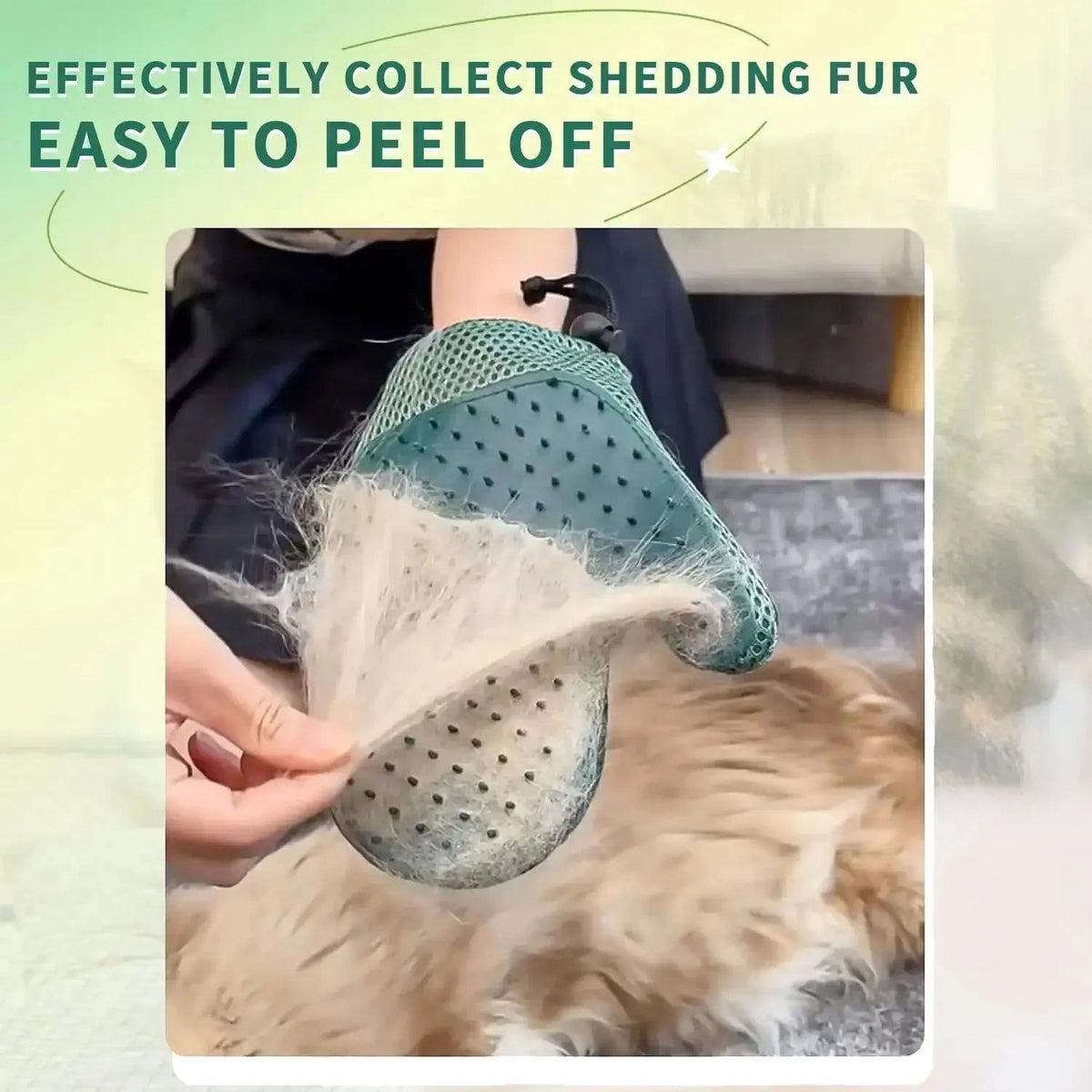 Pawrella 2-in-1 Pet Glove | Coat Care & Hair Removal in one | For cats & dogs | Silicone nubs | Washable