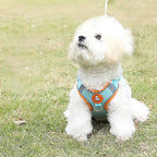 Breathable dog harness adjustable & comfortable
