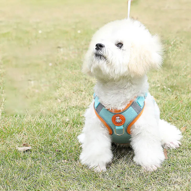 Breathable dog harness adjustable & comfortable