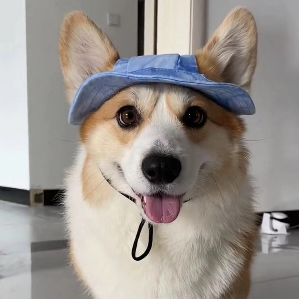 Chic Pet Sun Hat - Lightweight & Stylish Sun Protection for Dogs and Cats
