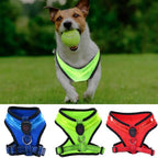 LED Dog Harness USB rechargeable & adjustable