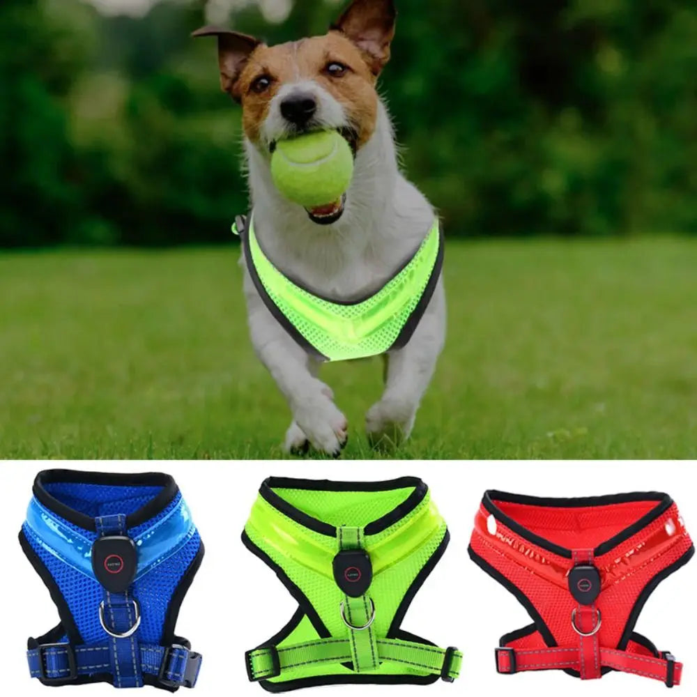 LED Dog Harness USB rechargeable & adjustable