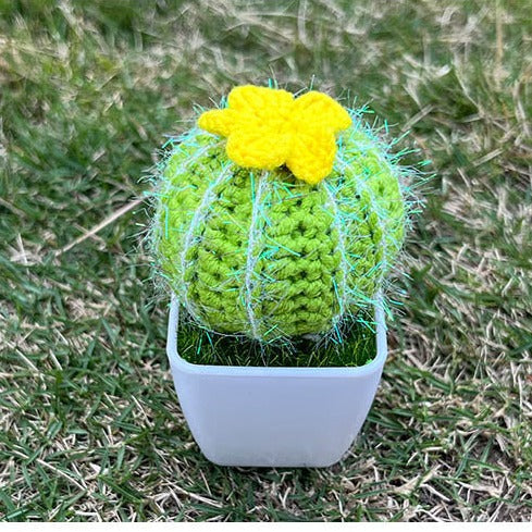 Hand-knitted Cactus Plant