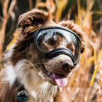 Dog sunglasses with UV protection windproof adjustable